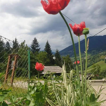 Berg & Seezeit Im Landhaus Benthen, Fuer 7 Personen, Mit Sauna Casa vacanze Feld am See
